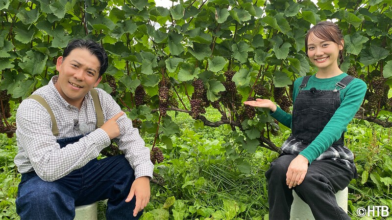 出典: FANY マガジン