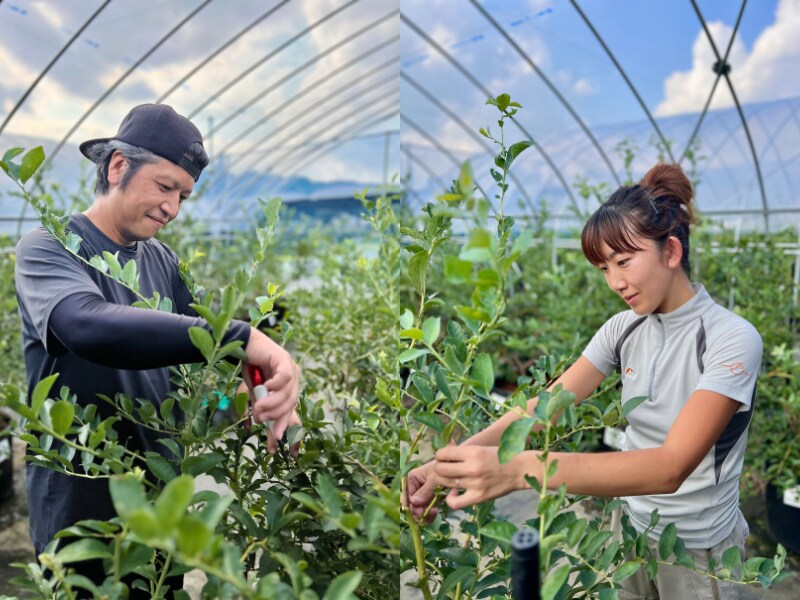 出典: FANY マガジン