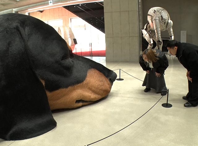 出典: FANY マガジン