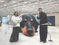 『やすとものどこいこ！？』3週連続韓国SP! 海原やすよとミルクボーイ駒場がソウルのニュースポット“聖水洞”で爆買い!