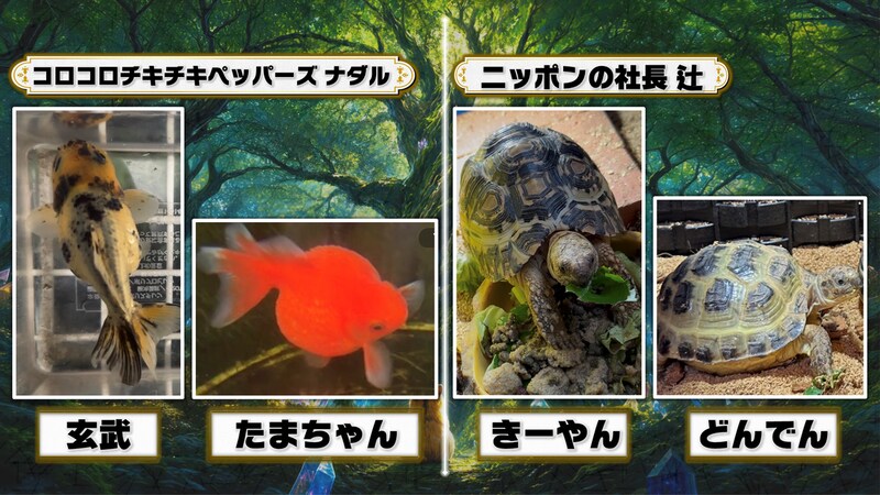 出典: FANY マガジン