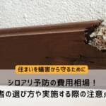 シロアリ予防の費用相場！優良業者の選び方や実施する際の注意点も解説
