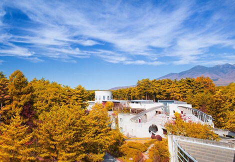 【PICK UP】クラフトビールに泡酒、ワインも。気になる秋の「大人向けグルフェス」3選