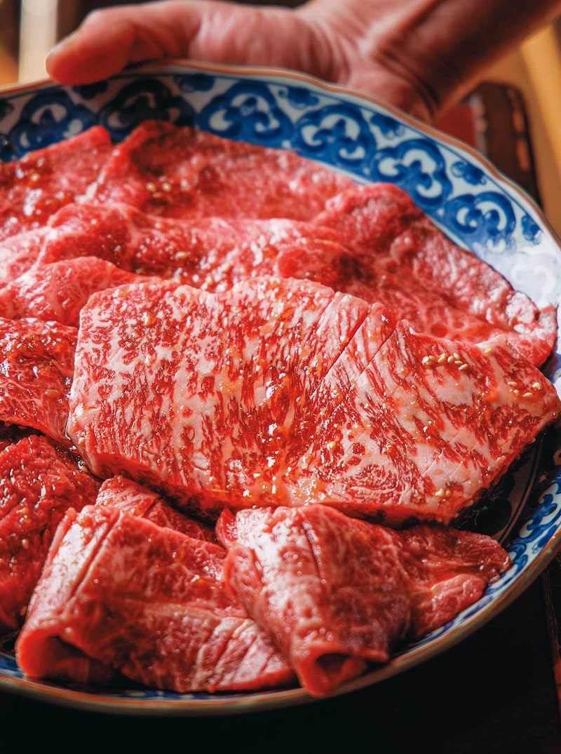 新御茶ノ水『焼肉ホルモン アポロン 神田駿河台』の「アポロン肉肉盛り」