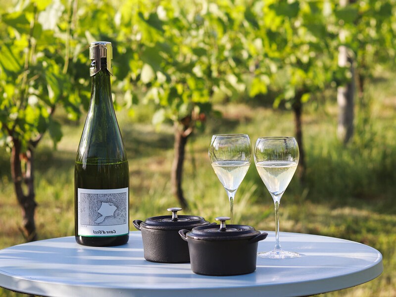 内野「WineryStay トラヴィーニュ by カーブドッチ」の前庭