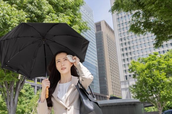  ※画像はイメージです　(以下、同)