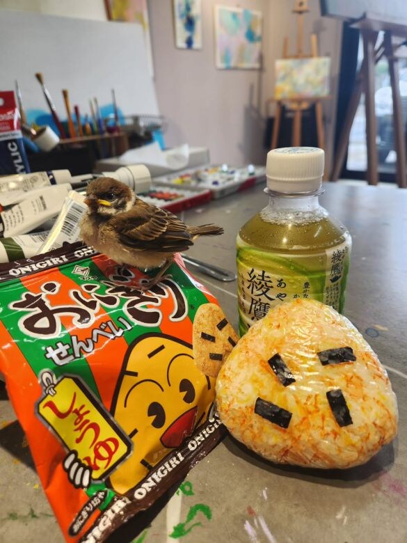  「マスヤ　おにぎりせんべい」をモチーフにしたおにぎりアート