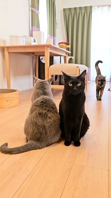  ミトンちゃん（左）に寄り添うチックくん