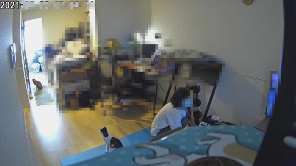  見守りカメラの映像（※画像は筆者による再現）