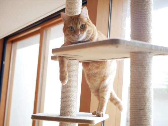 写真はイメージです