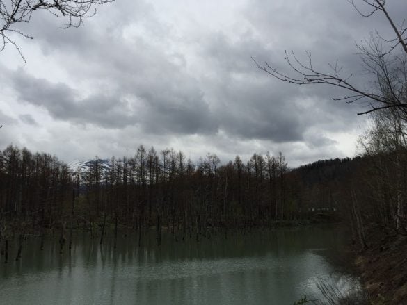  母親と訪れた悪天候の「青い池」（野沢さん撮影）