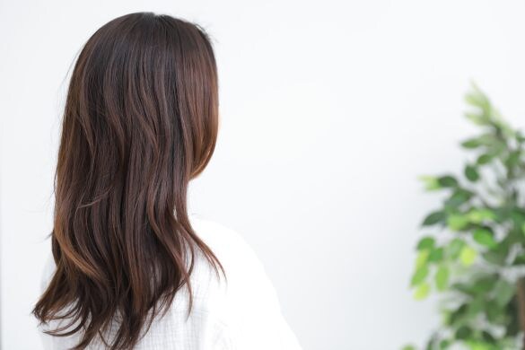  画像はイメージです（以下同）