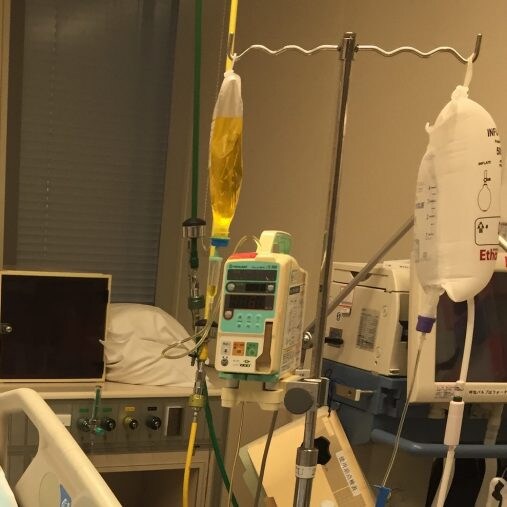  美紗さん提供写真