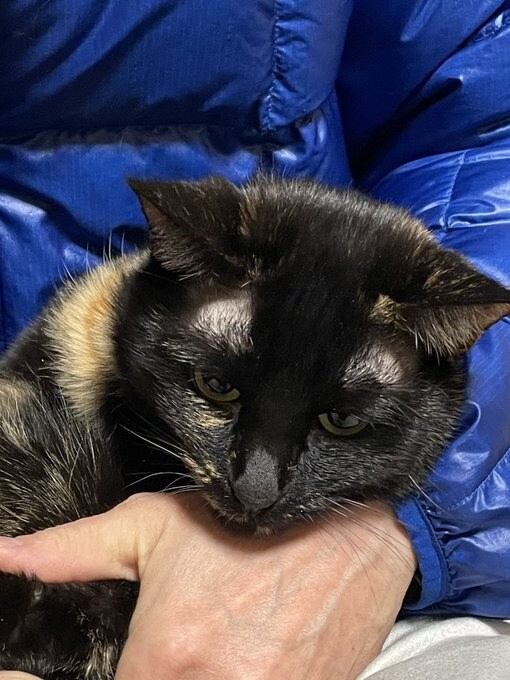  抱っこをされると、不満げな表情に