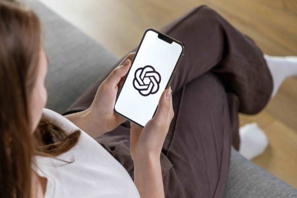 （Alina - stock.adobe.com）