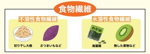 食物繊維の内訳