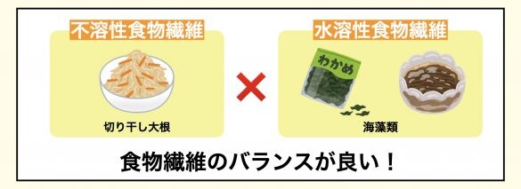 食物繊維のバランス