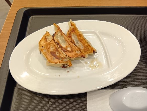  パリッよりはモチッな餃子