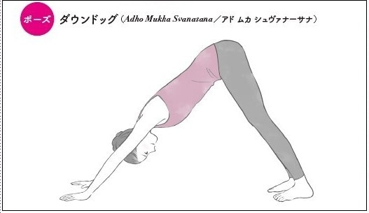  ダウンドッグのポーズ。『今この瞬間をどう生きるか』より