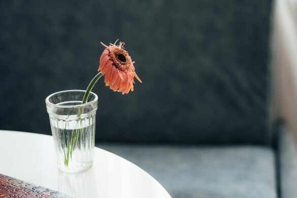 許せるわけもなく破局