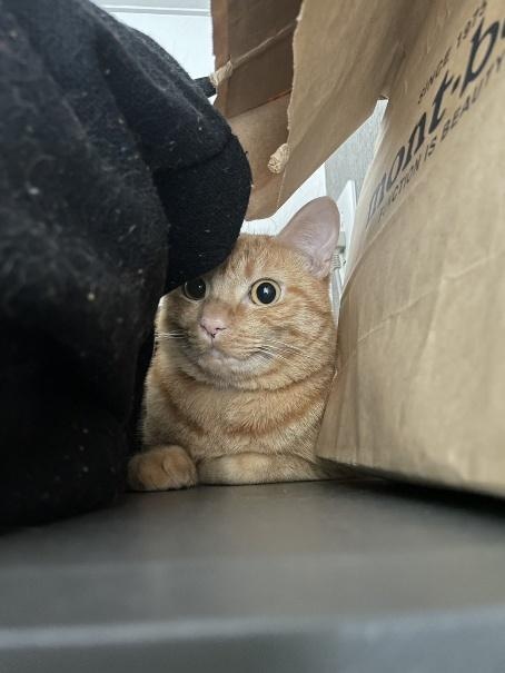  業者さんが来た時の絶望顔