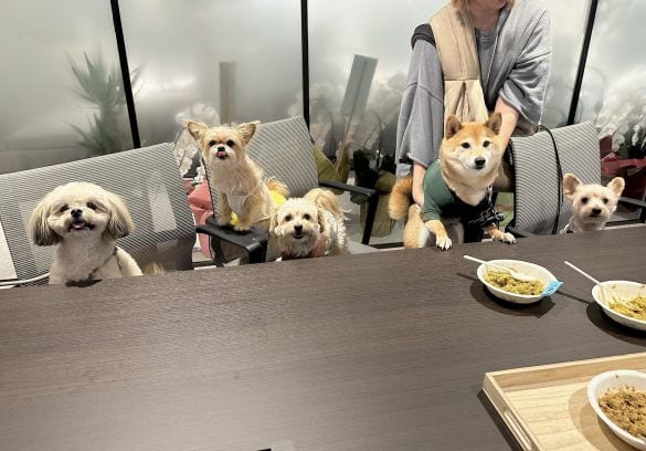  試食待ちの社員犬たち