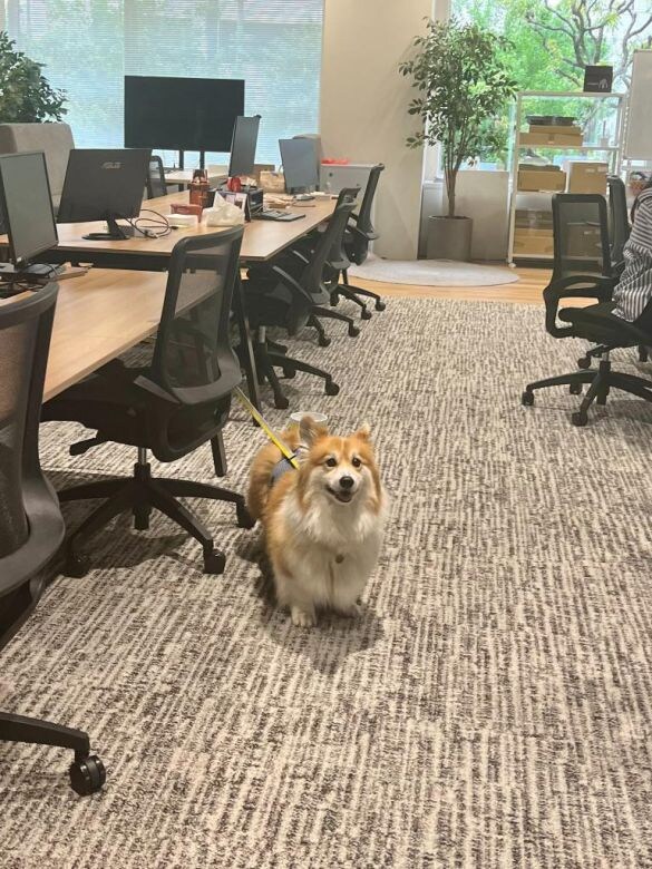  出社して秒で「今日、会社も来てよかった」と思う瞬間