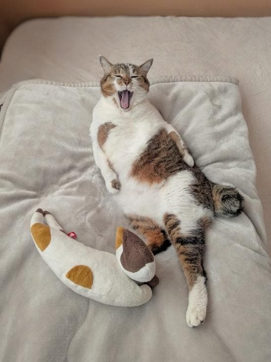  伸び伸びとした表情もかわいい