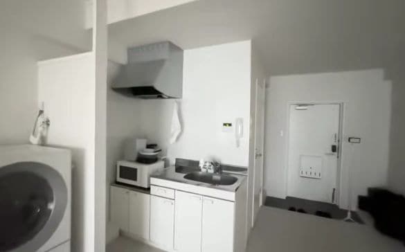  大型家電は洗濯乾燥機のみ