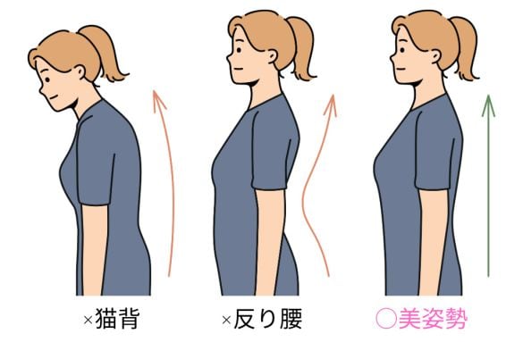 いい姿勢　図解