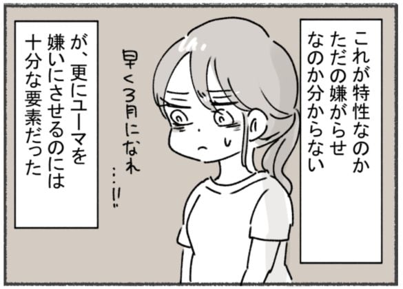 アスペルガー夫と離婚した後の話