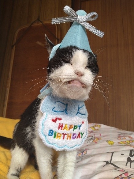  22歳の誕生日を迎えた日