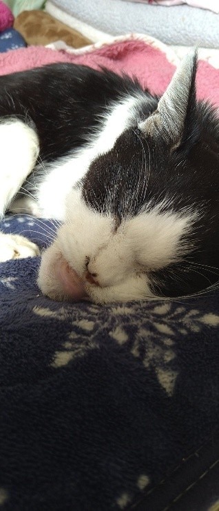  頑張って生きようとする姿が愛おしかった