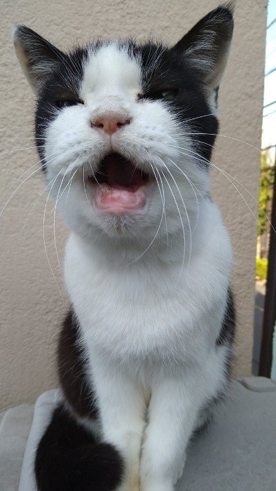  シニア期にも豊かな表情を見せてくれた