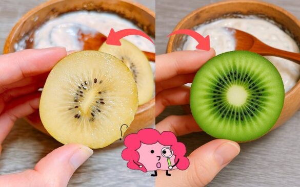  ゴールドキウイ（左）とグリーンキウイ（右）。ゴールドキウイ編はビタミンで内側から美肌ケア！ グリーンキウイは食物繊維パワーで特に腸活向き！