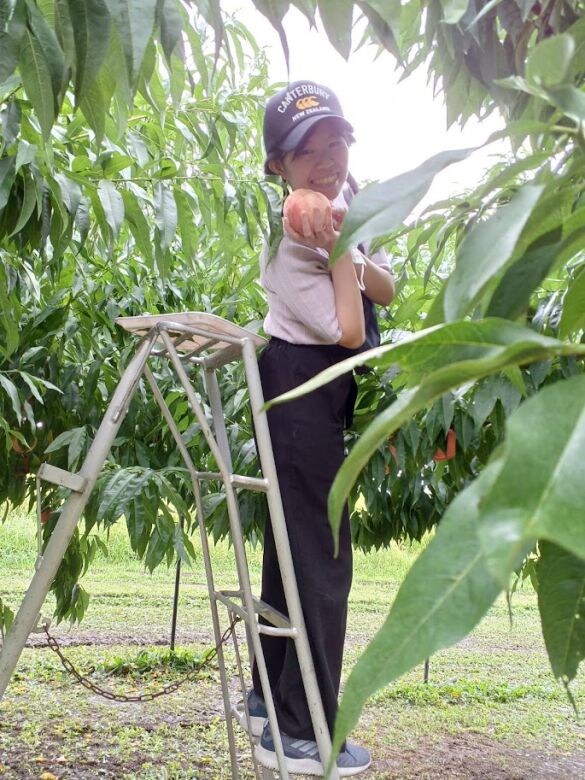  なぜ「スパリゾートハワイアンズ」かは、私が福島旅行が好きだからです。これは桃狩り中