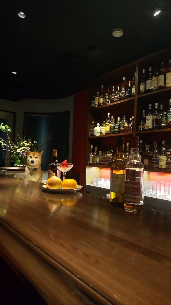  「ご来店お待ちしております」by卯月