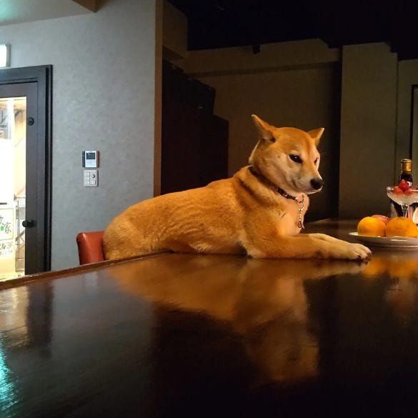  あくまで撮影用