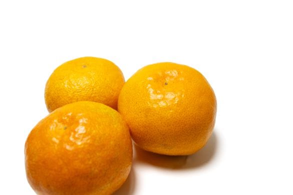 1207_小林青果株式会社⑦