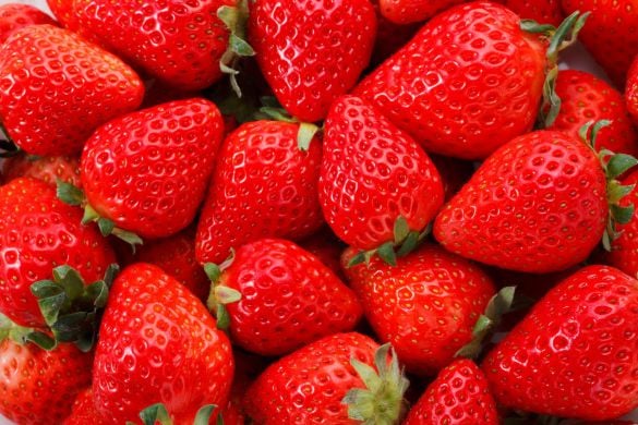  画像はイメージです。