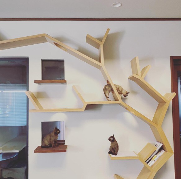 猫のためのインテリア