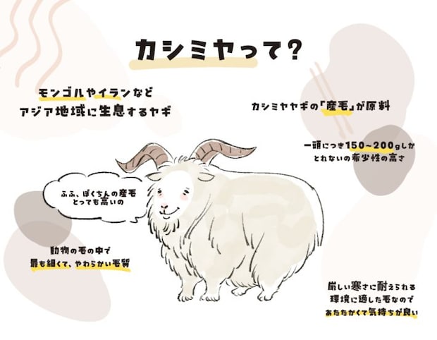 そもそもカシミヤとは