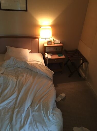  宿泊したホテルの写真（提供美穂さん）