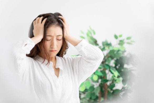 子どもの手土産