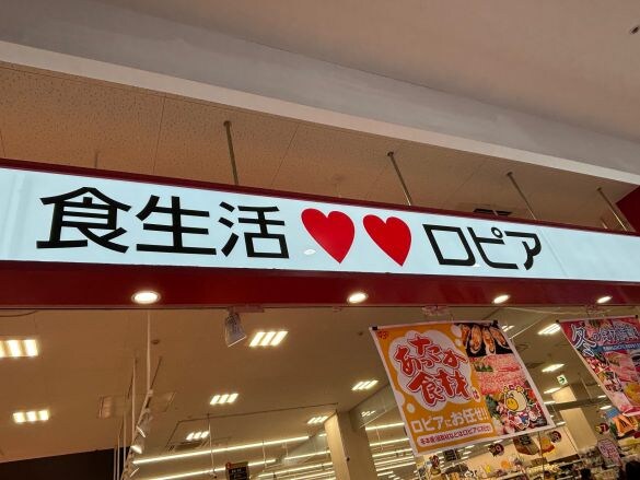 激安スーパー「ロピア」の“コスパ最強な冷凍食品”を3つ厳選!たこ焼1kgの値段にびっくり