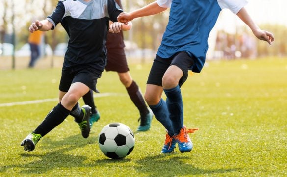  写真はイメージです。