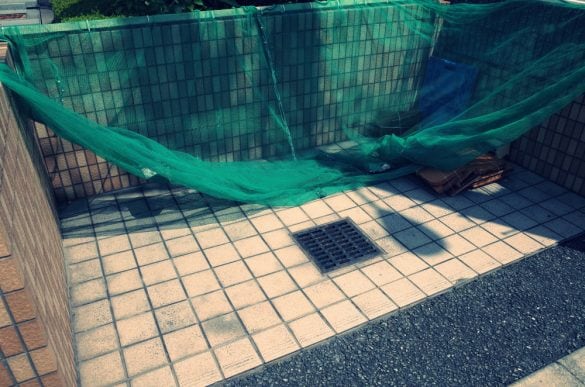  画像はイメージです（以下同）