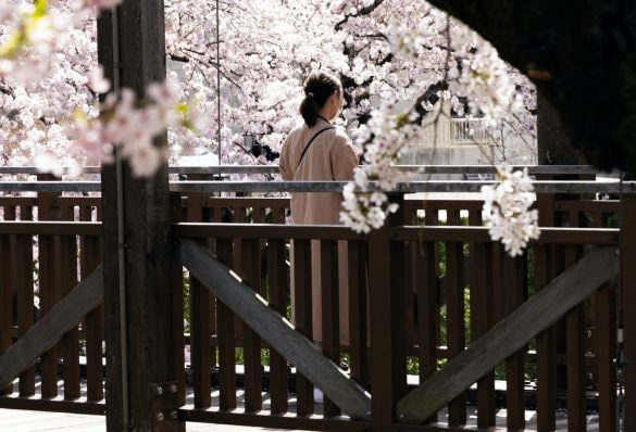  写真はイメージです。（以下同じ）