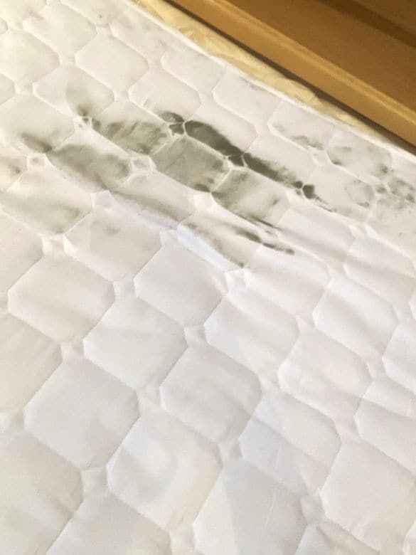  カビが移ってしまった敷きパッド