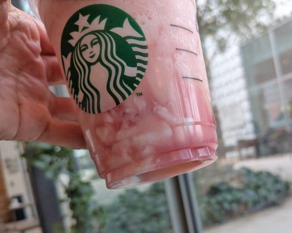  白桃ジュレとミルクプリンの組み合わせに白桃フラペチーノがたっぷり。春を感じるスイーツ度満点のビジュアル！